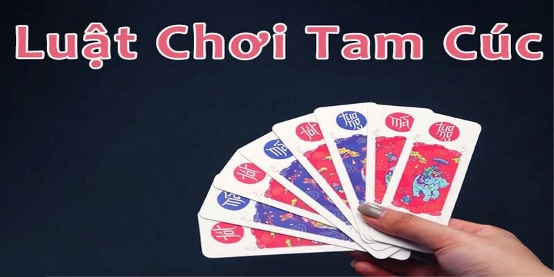Kinh Nghiệm Chơi Bài Tam Cúc Không Thua – Áp Dụng Ngay! Nắm rõ quy tắc “cấm” ở lượt đầu